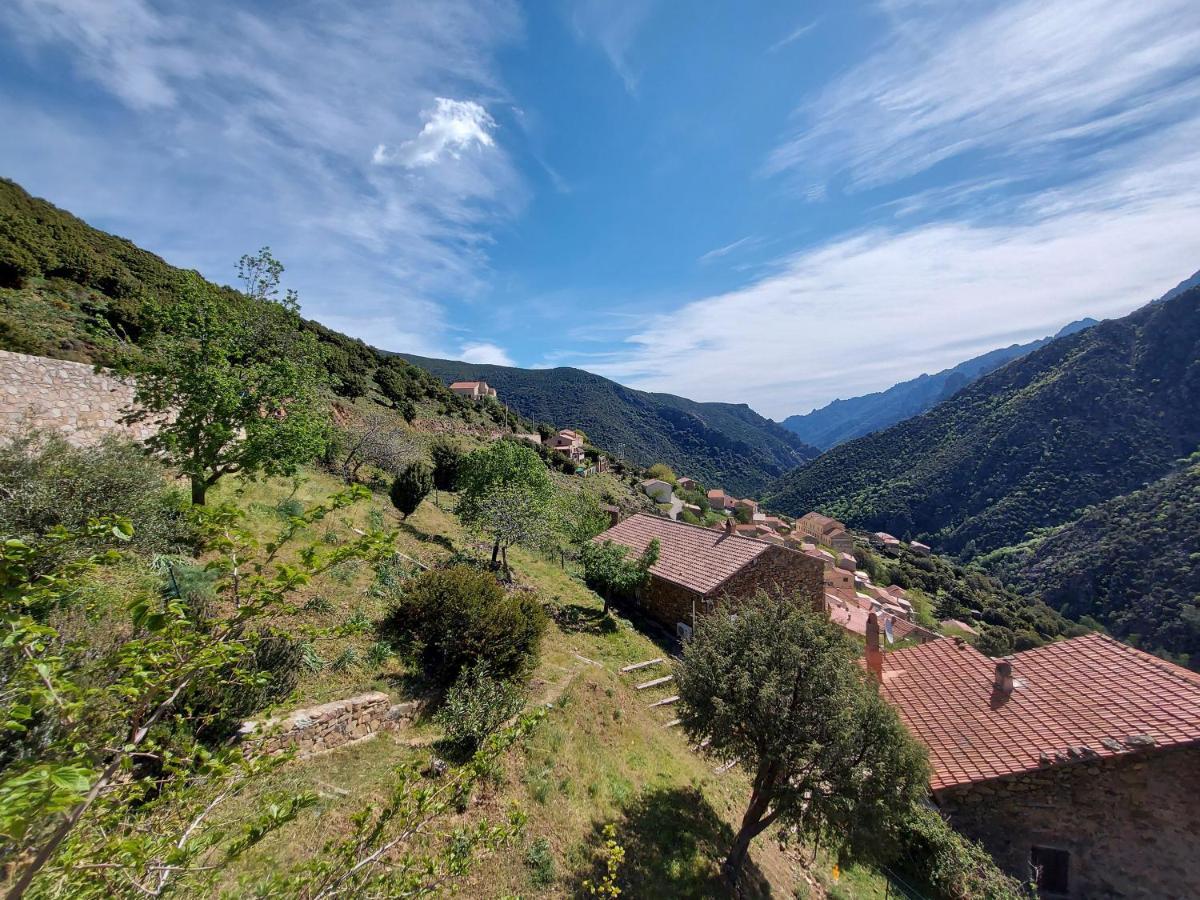 Residence E Cime Asco Locations De Studios Meubles Екстер'єр фото