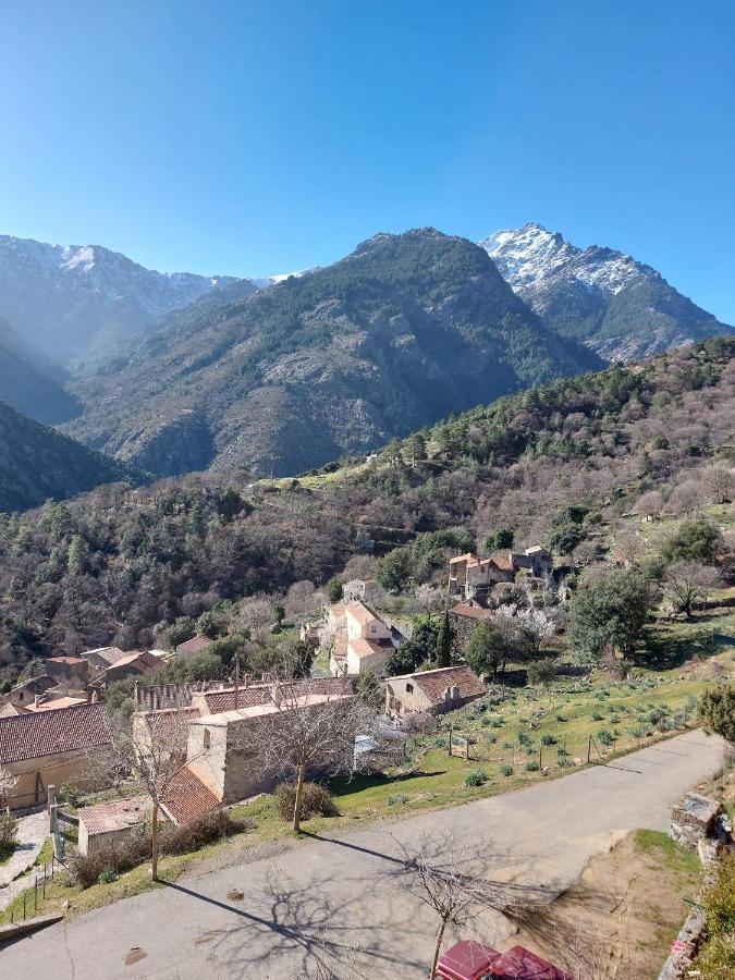 Residence E Cime Asco Locations De Studios Meubles Екстер'єр фото