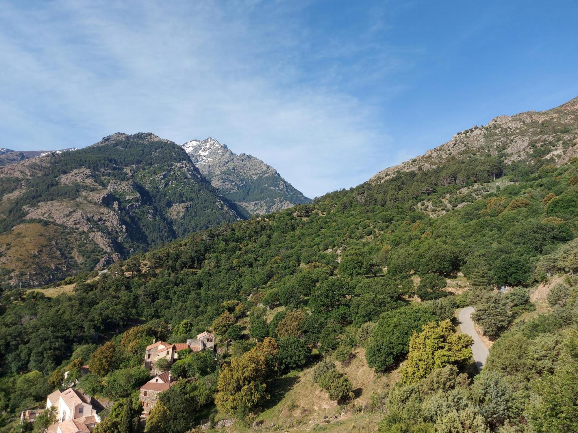 Residence E Cime Asco Locations De Studios Meubles Екстер'єр фото